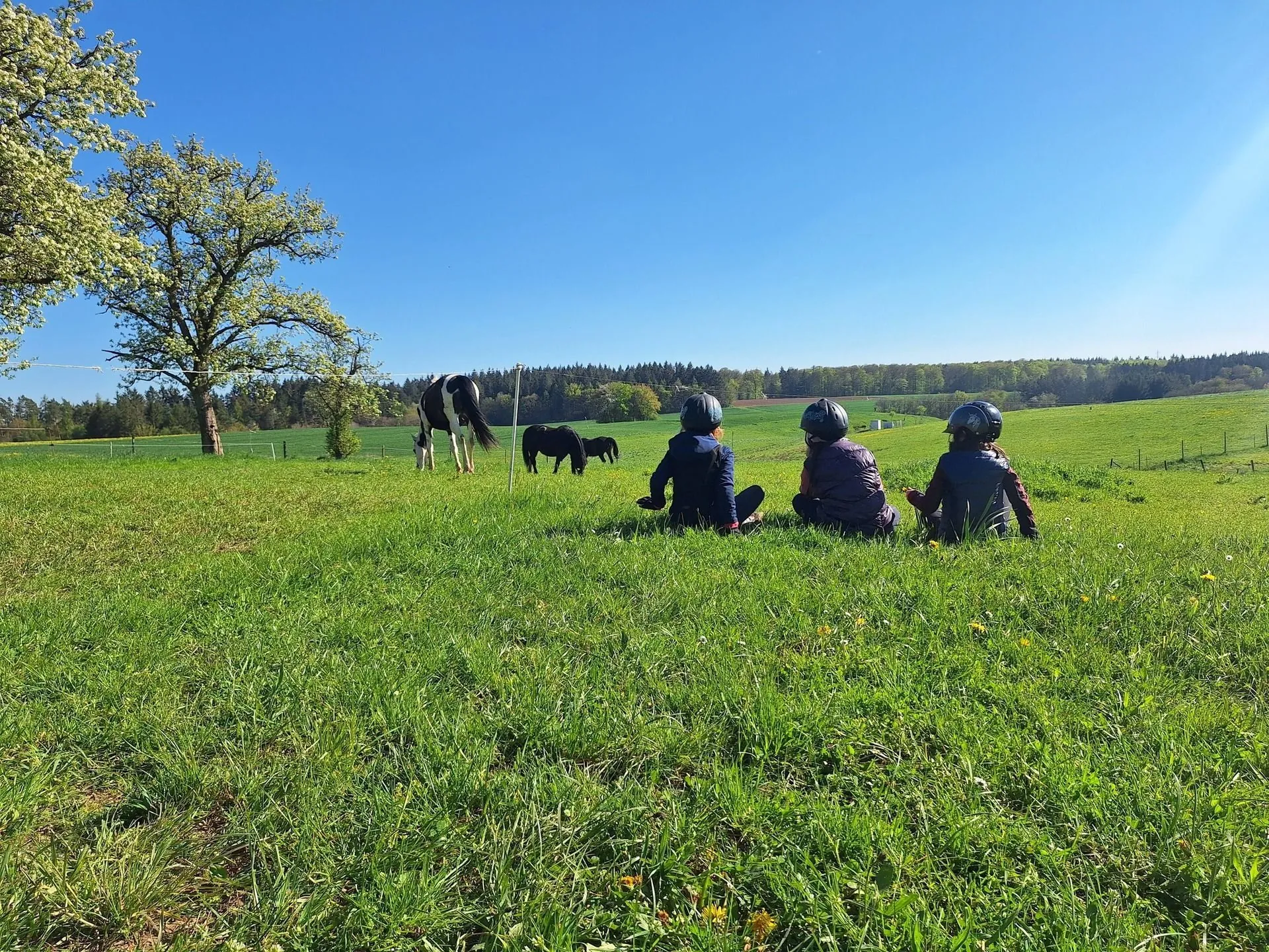 Drei Kinder mit Reithelmen sitzen auf einer Wiese und schauen über die Felder