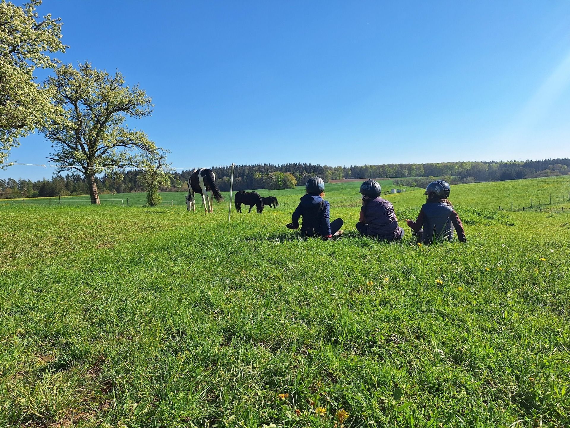 Drei Kinder mit Reithelmen sitzen auf einer Wiese und schauen über die Felder
