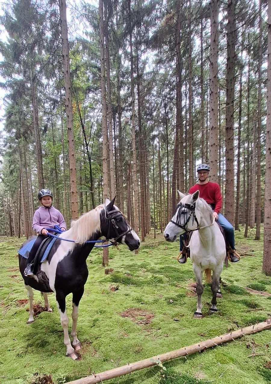 Familie zu Pferd im Wald