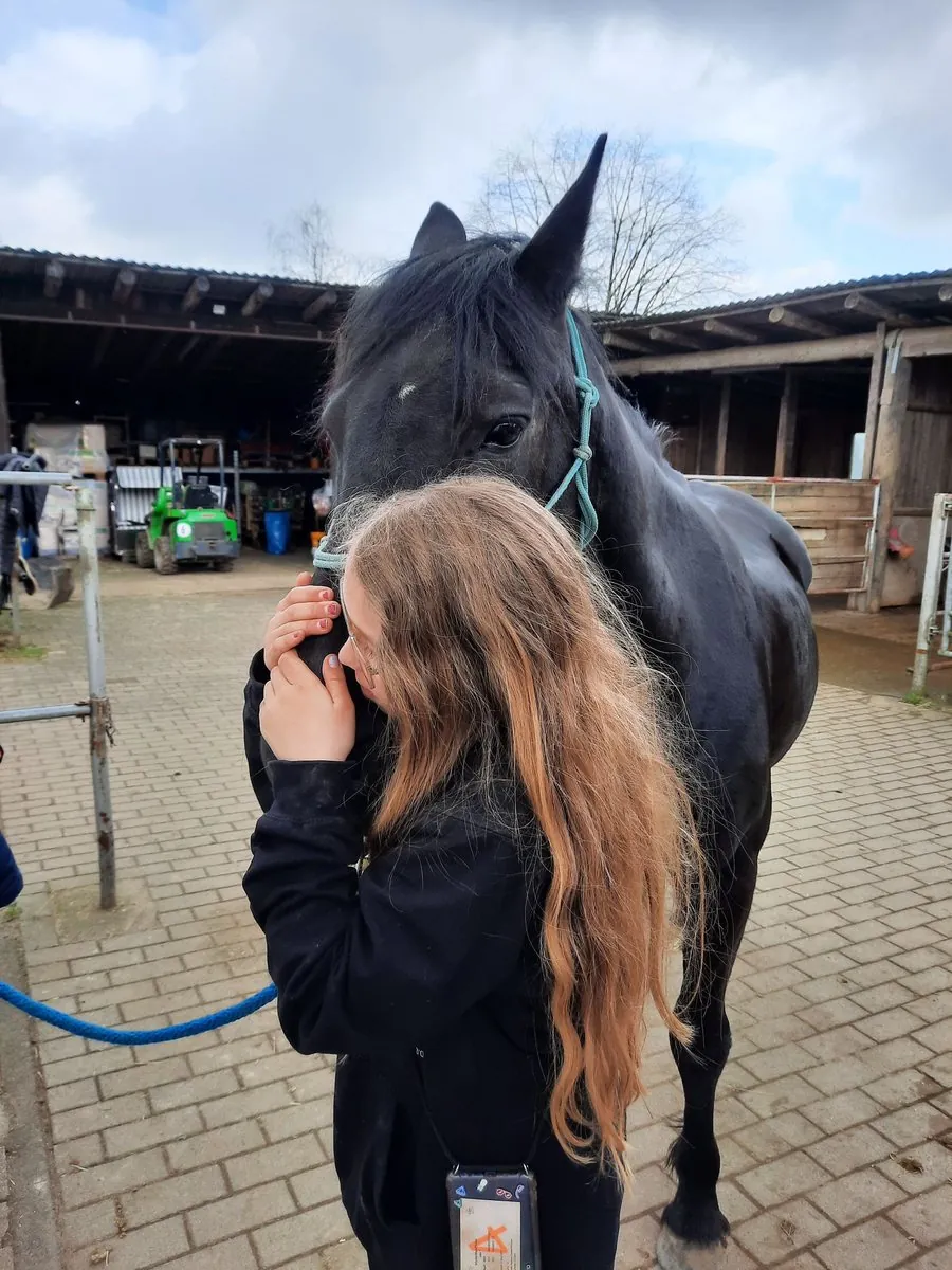Ein Kind schmiegt sich an ein schwarzes Pferd