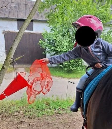 Ein Kind auf dem Pferd greift nach einem roten Tuch