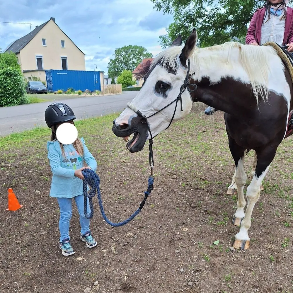Ein Kind führt ein Pferd am Strick