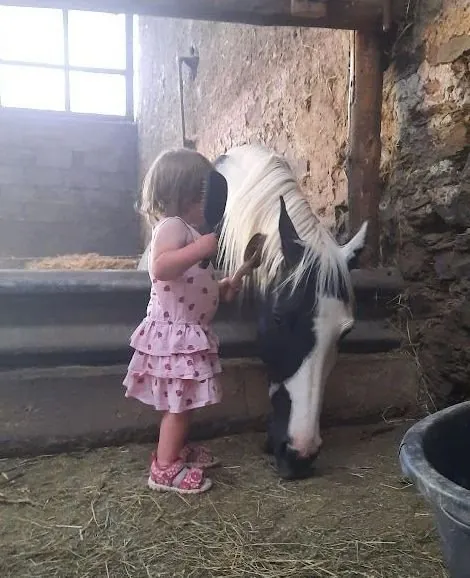 Ein kleines Kind streichelt ein Pferd im Stall