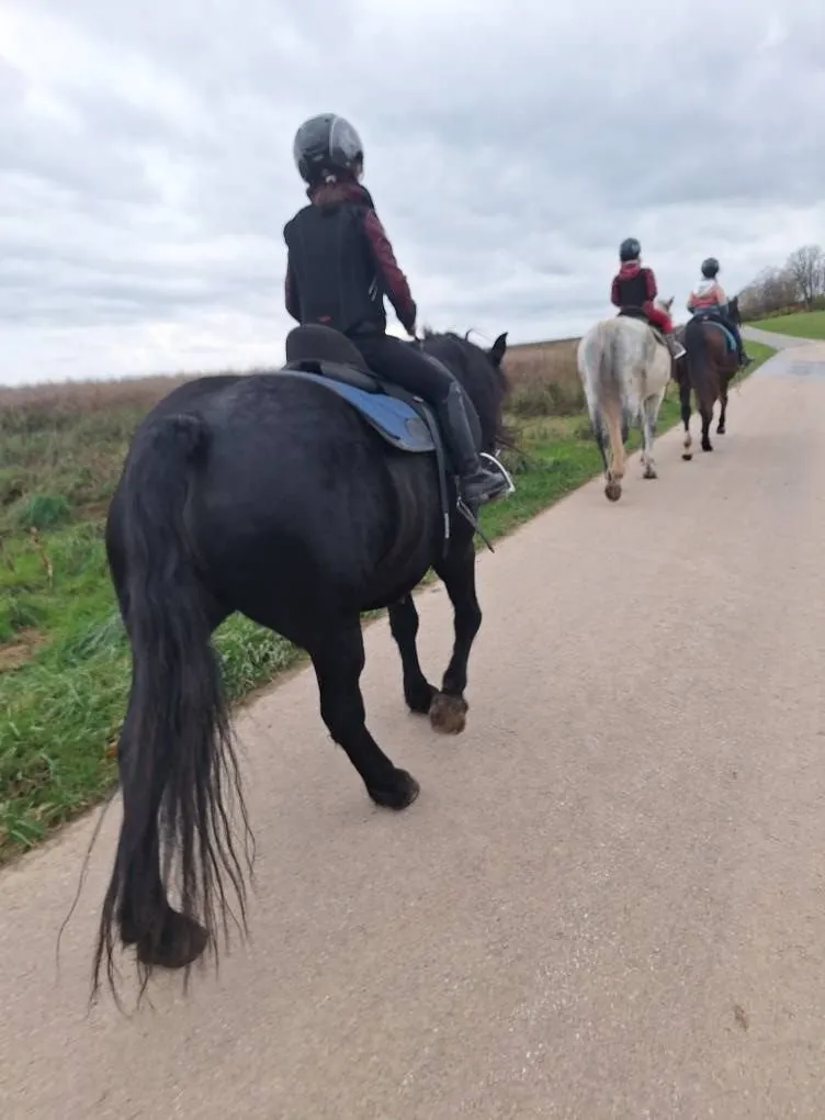 Kinder reiten hintereinander auf einem Feldweg